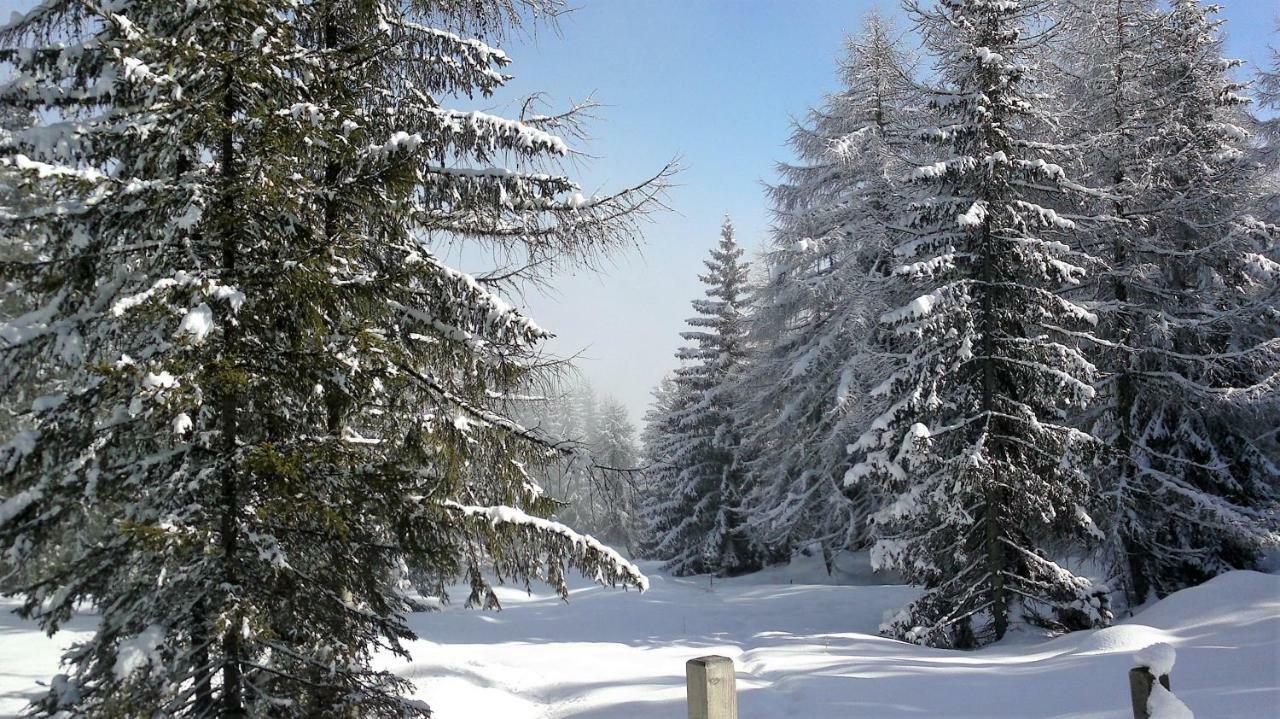 Ferienwohnung Dolomitenpanorama Oberlienz 외부 사진