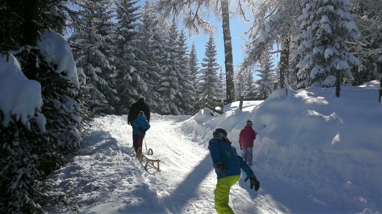 Ferienwohnung Dolomitenpanorama Oberlienz 외부 사진